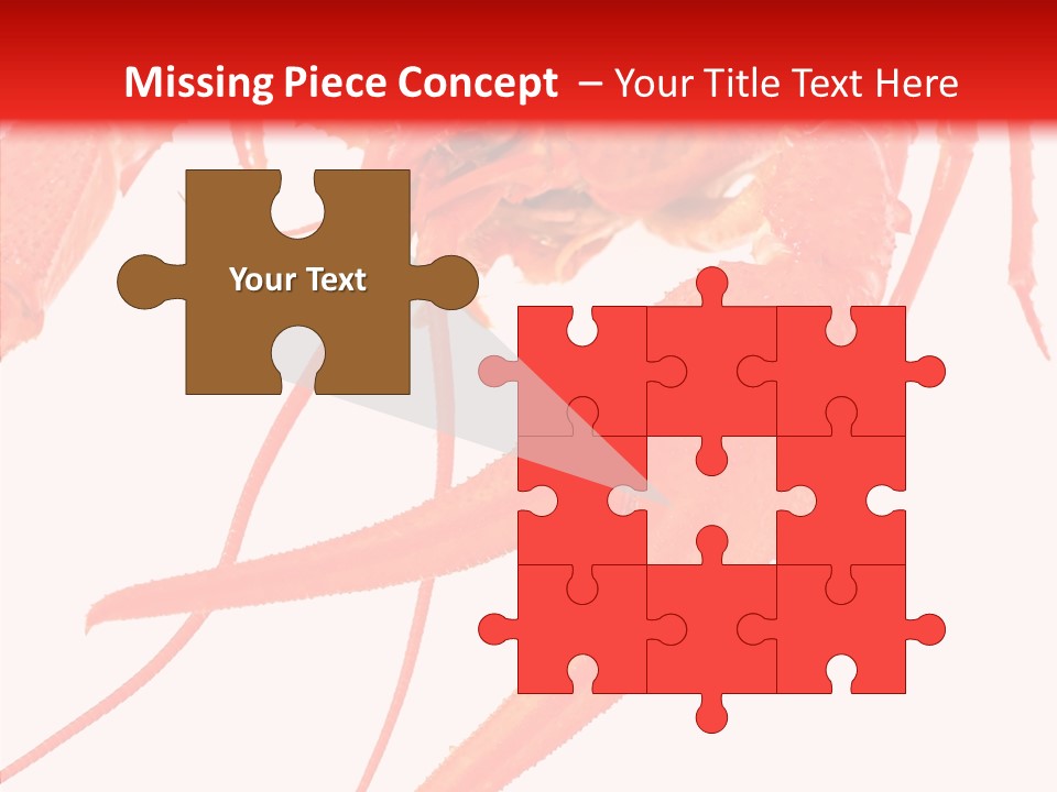 New White Marine PowerPoint Template