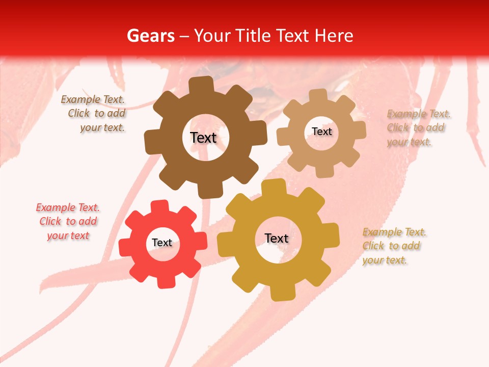 New White Marine PowerPoint Template