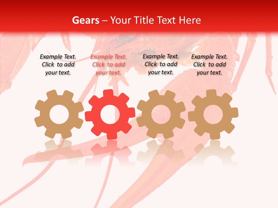 New White Marine PowerPoint Template