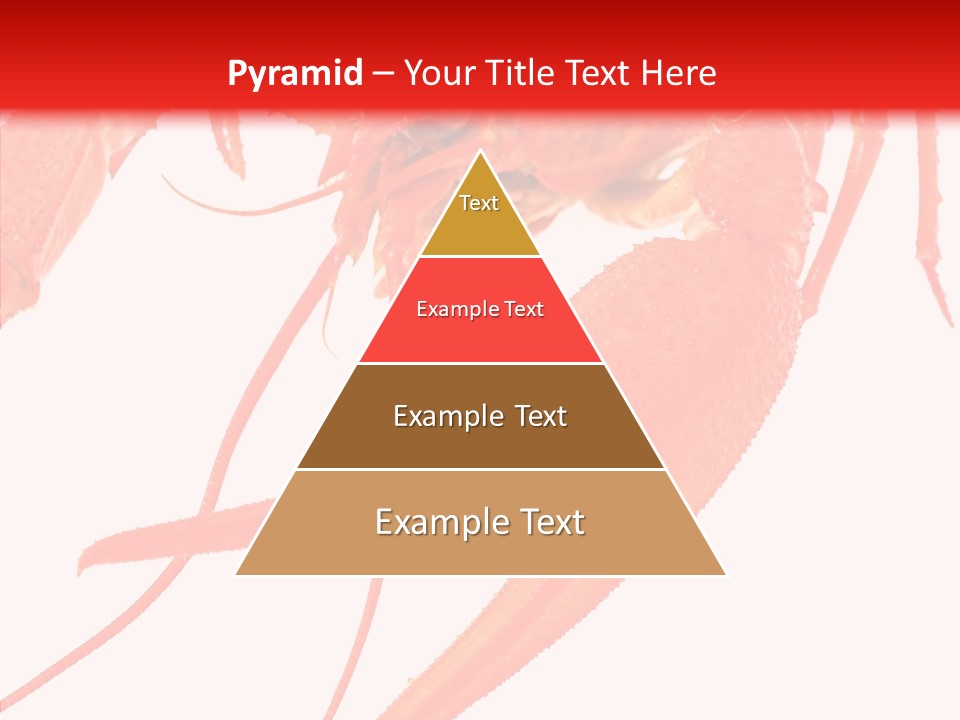 New White Marine PowerPoint Template