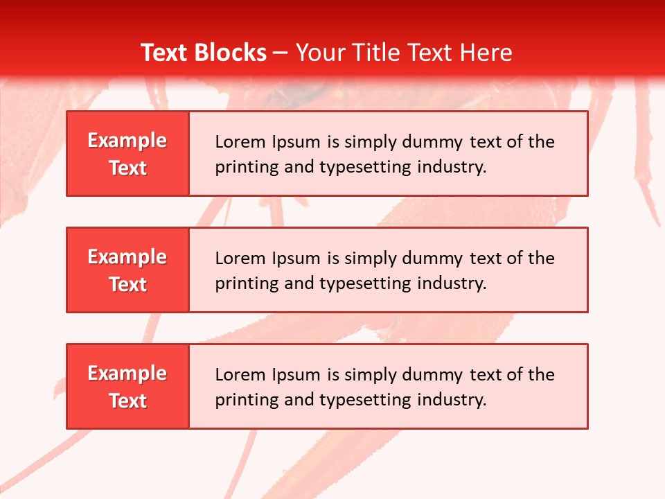 New White Marine PowerPoint Template