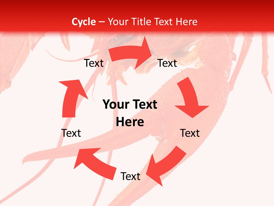 New White Marine PowerPoint Template