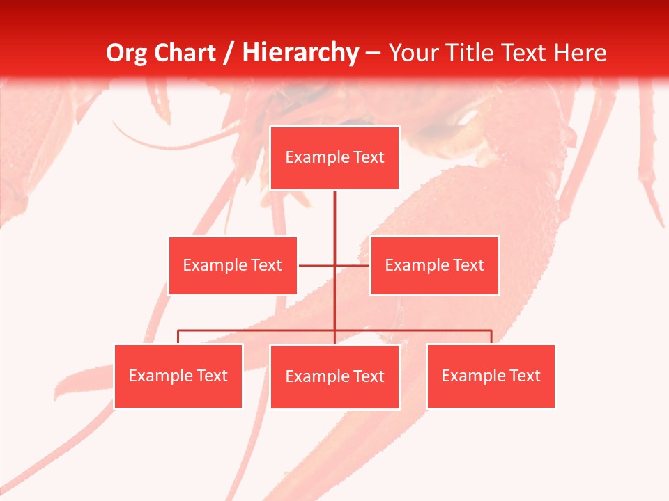 New White Marine PowerPoint Template