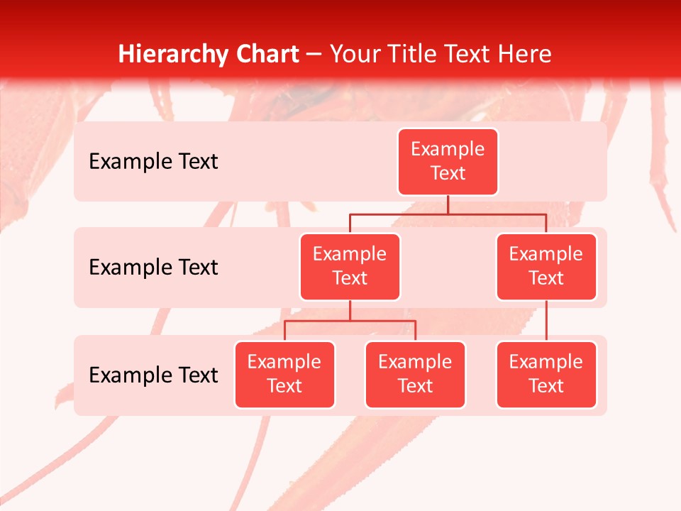 New White Marine PowerPoint Template