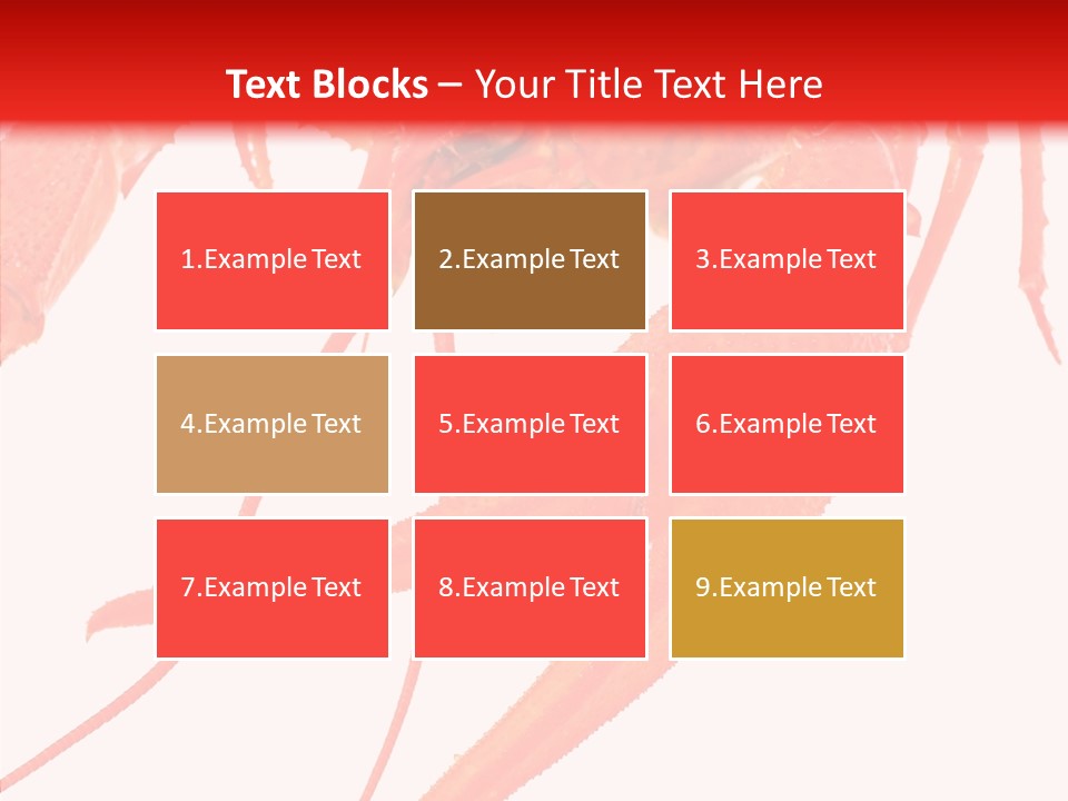 New White Marine PowerPoint Template