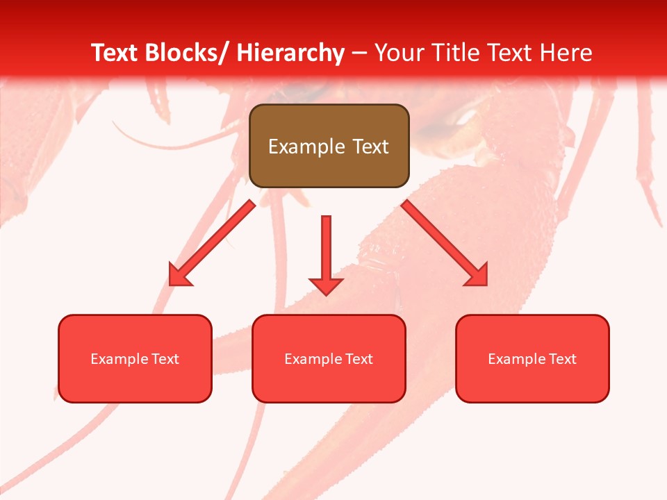 New White Marine PowerPoint Template