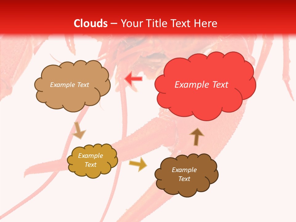 New White Marine PowerPoint Template