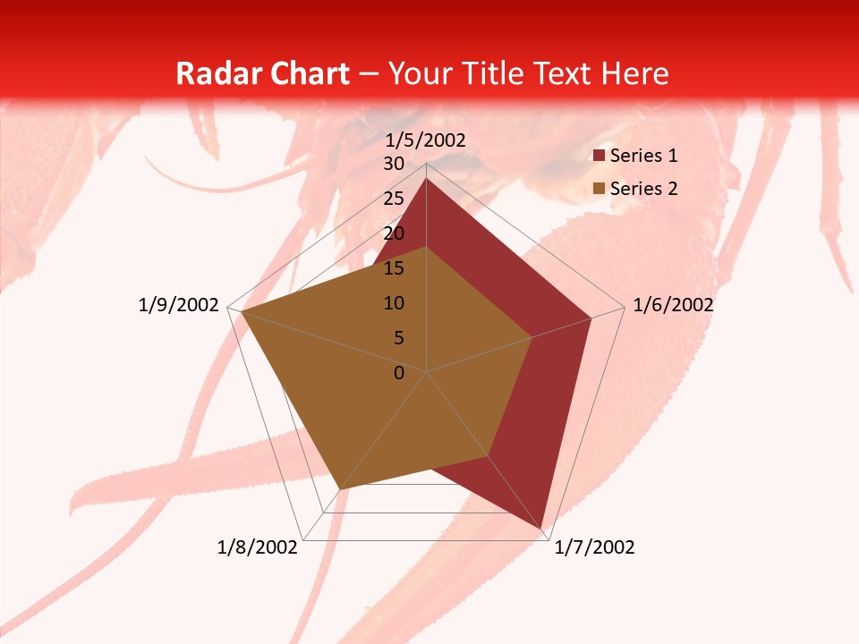 New White Marine PowerPoint Template