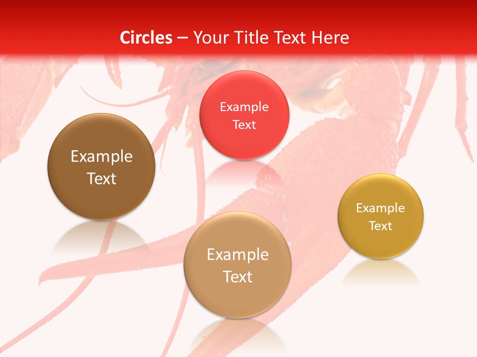 New White Marine PowerPoint Template