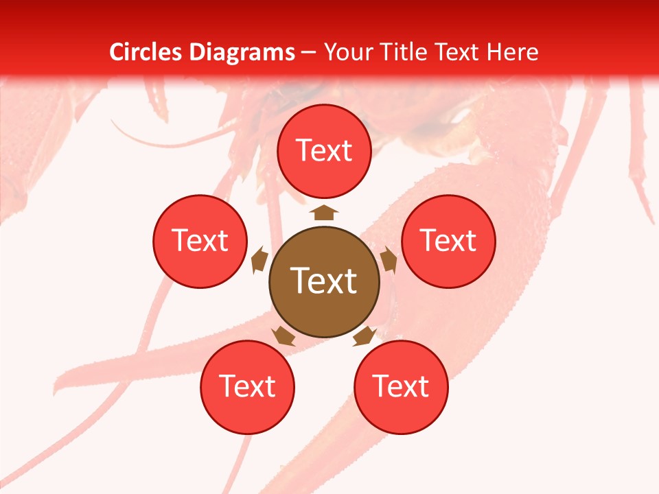 New White Marine PowerPoint Template