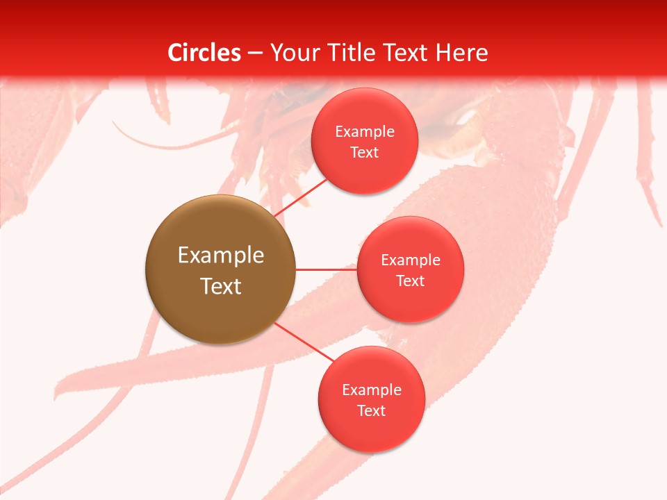 New White Marine PowerPoint Template