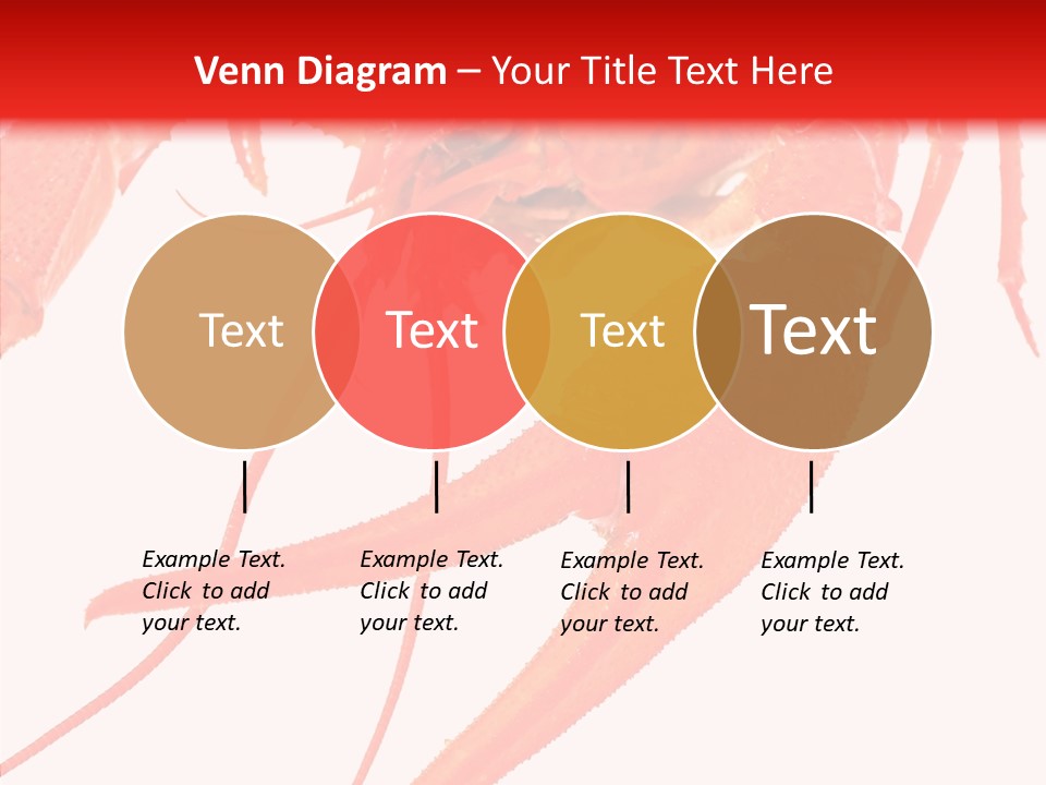 New White Marine PowerPoint Template