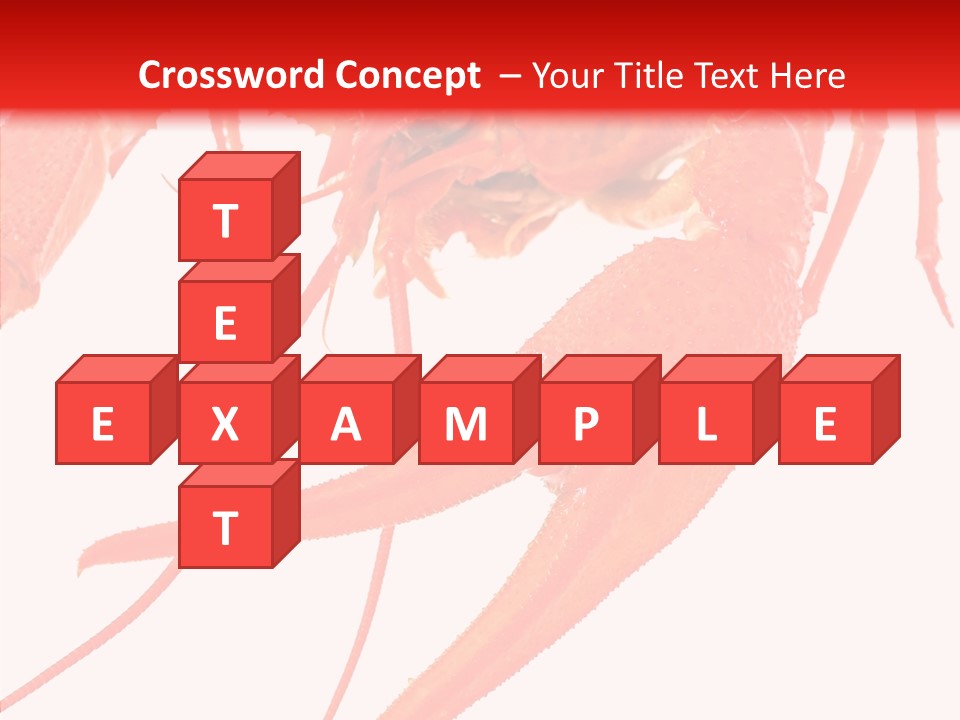 New White Marine PowerPoint Template