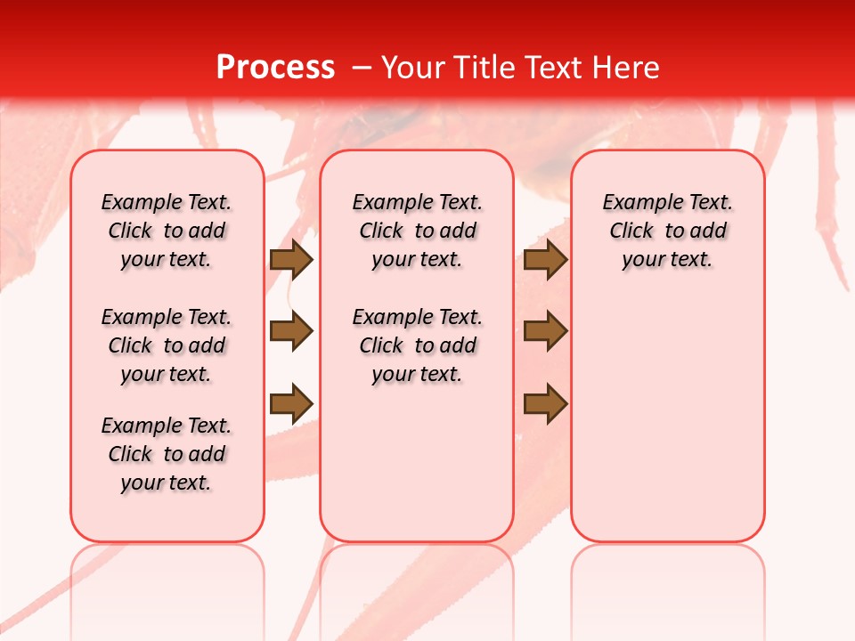 New White Marine PowerPoint Template