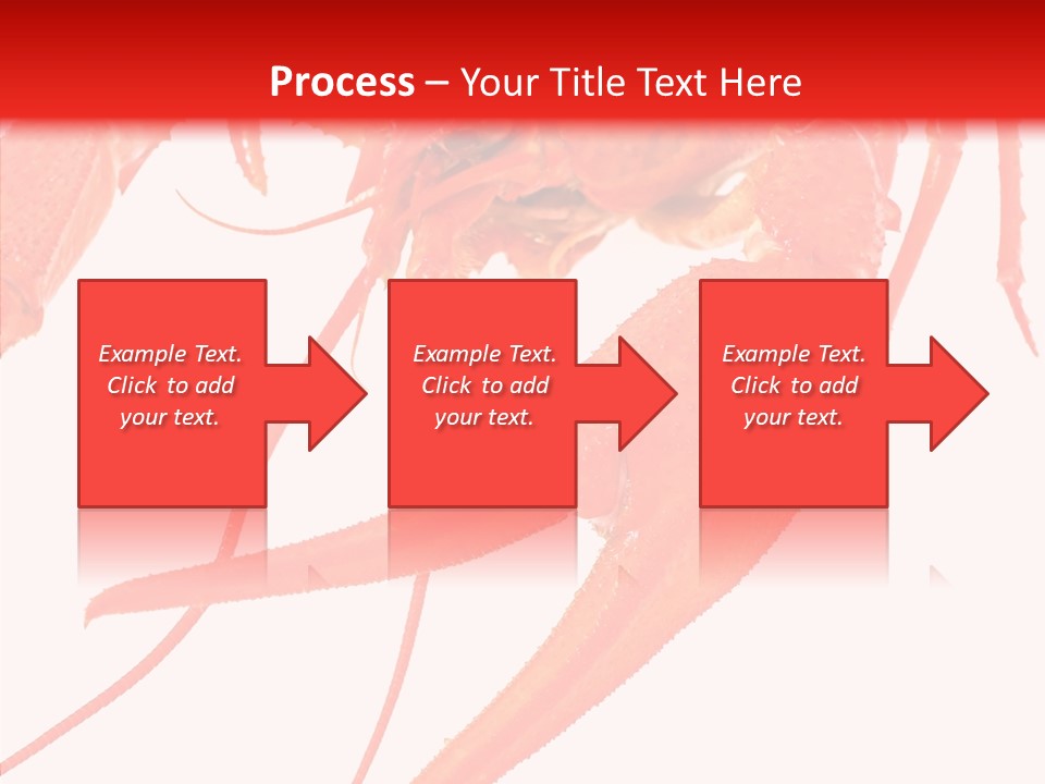 New White Marine PowerPoint Template