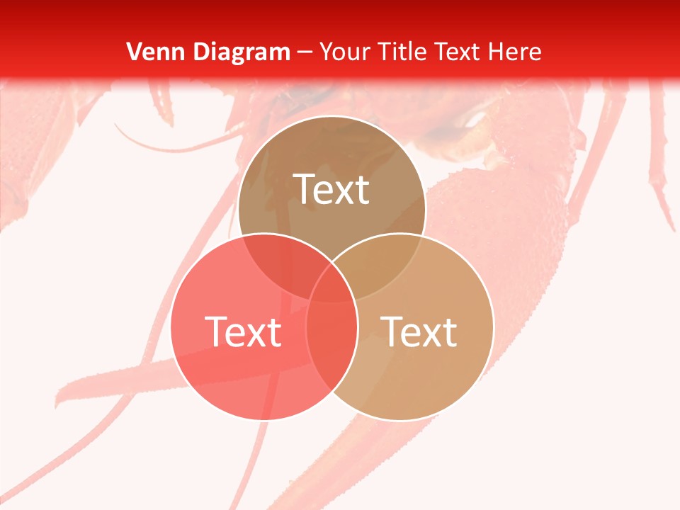 New White Marine PowerPoint Template