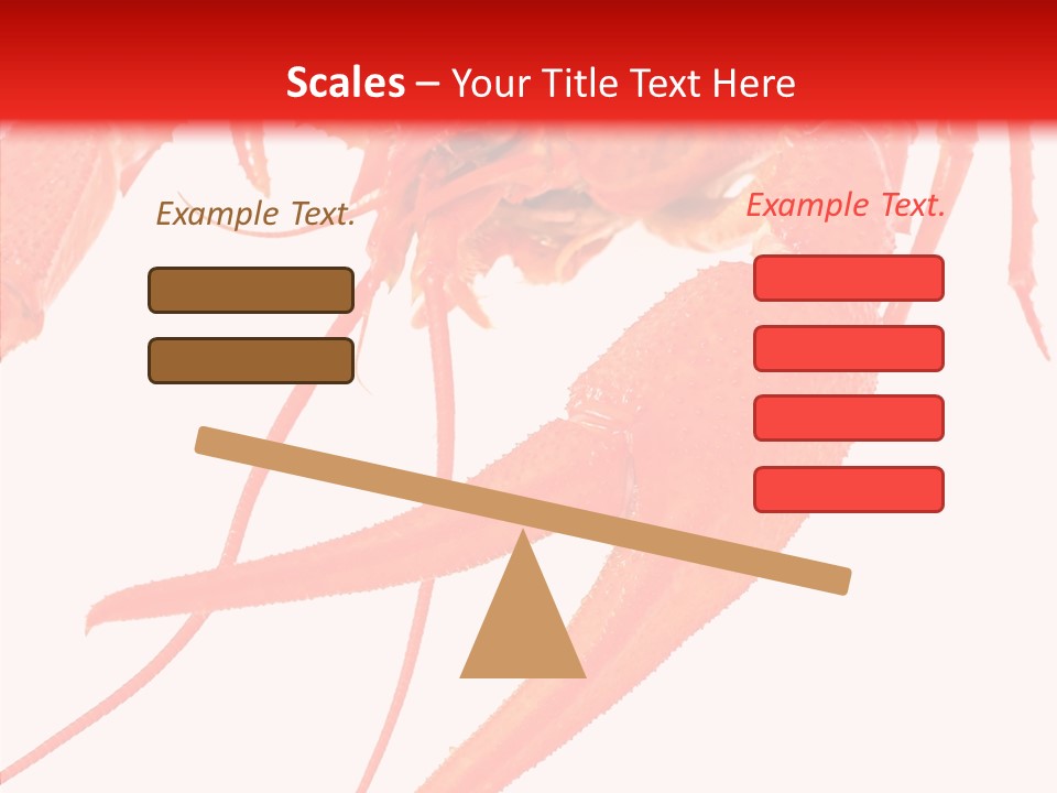 New White Marine PowerPoint Template