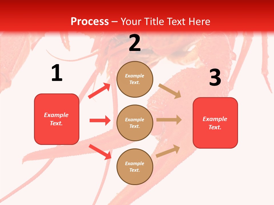 New White Marine PowerPoint Template