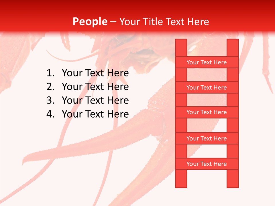 New White Marine PowerPoint Template