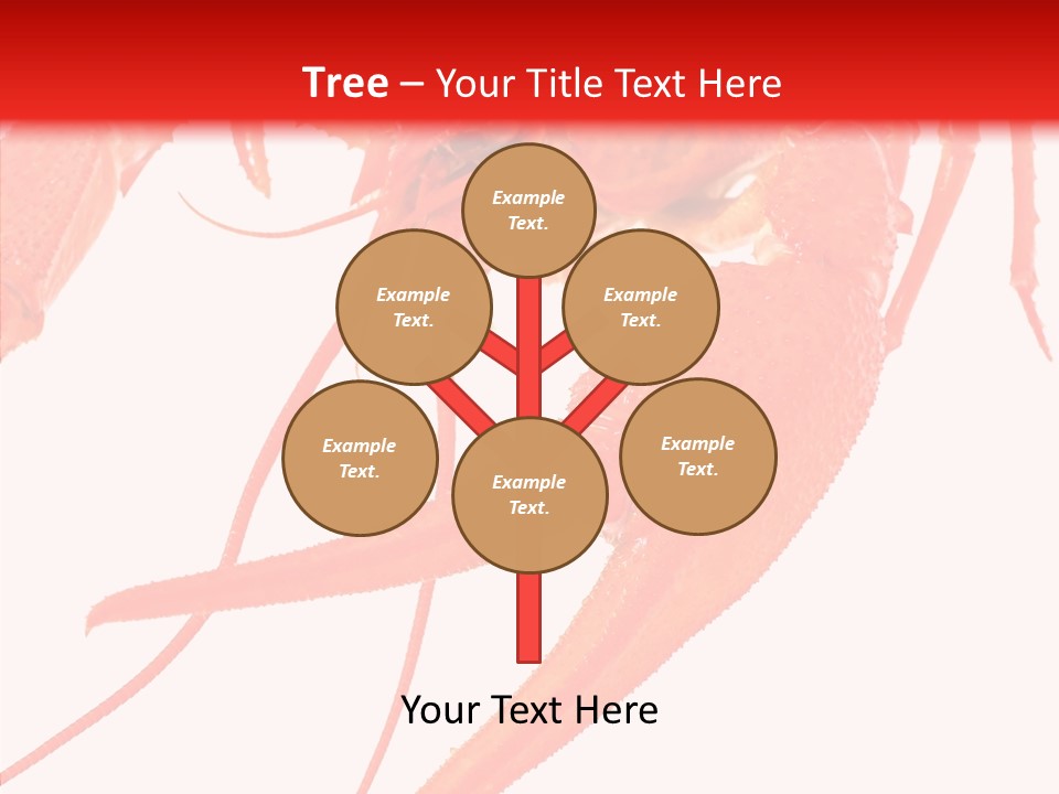 New White Marine PowerPoint Template