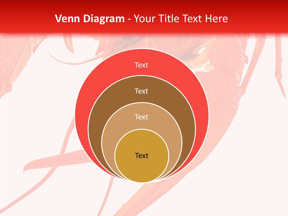 New White Marine PowerPoint Template