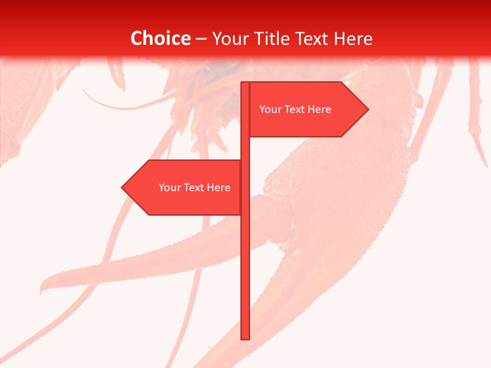 New White Marine PowerPoint Template