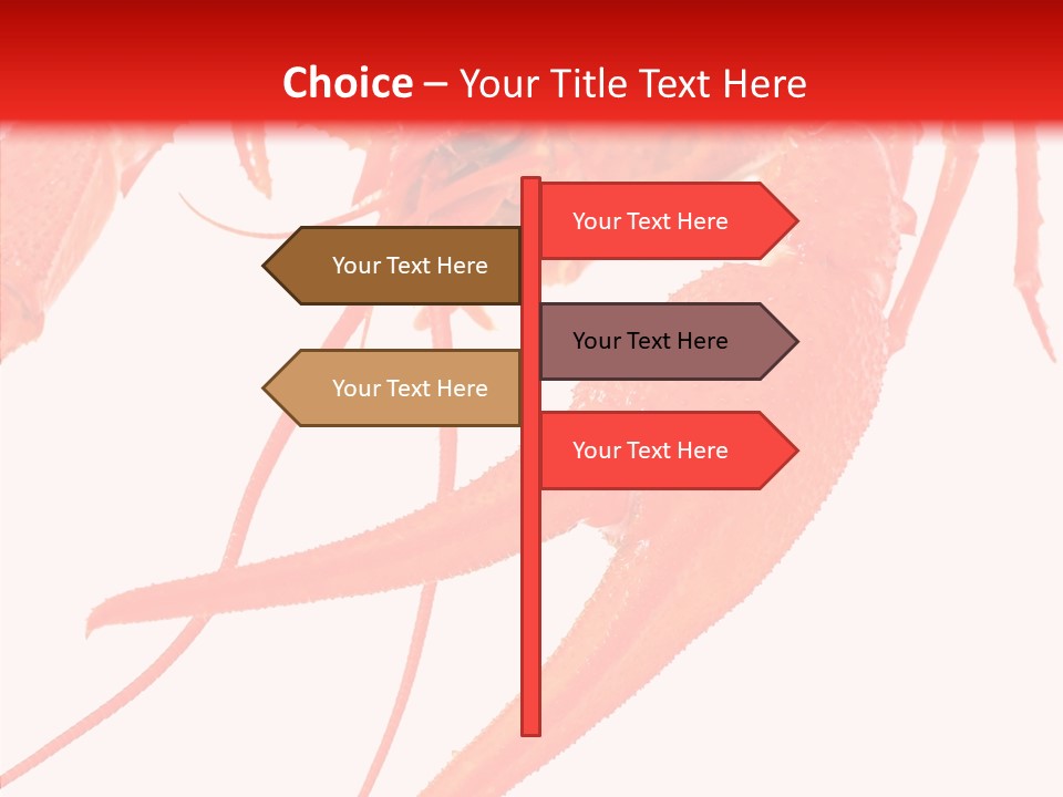 New White Marine PowerPoint Template