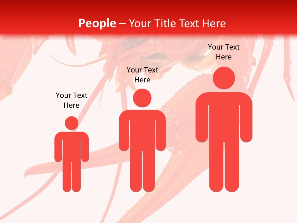 New White Marine PowerPoint Template