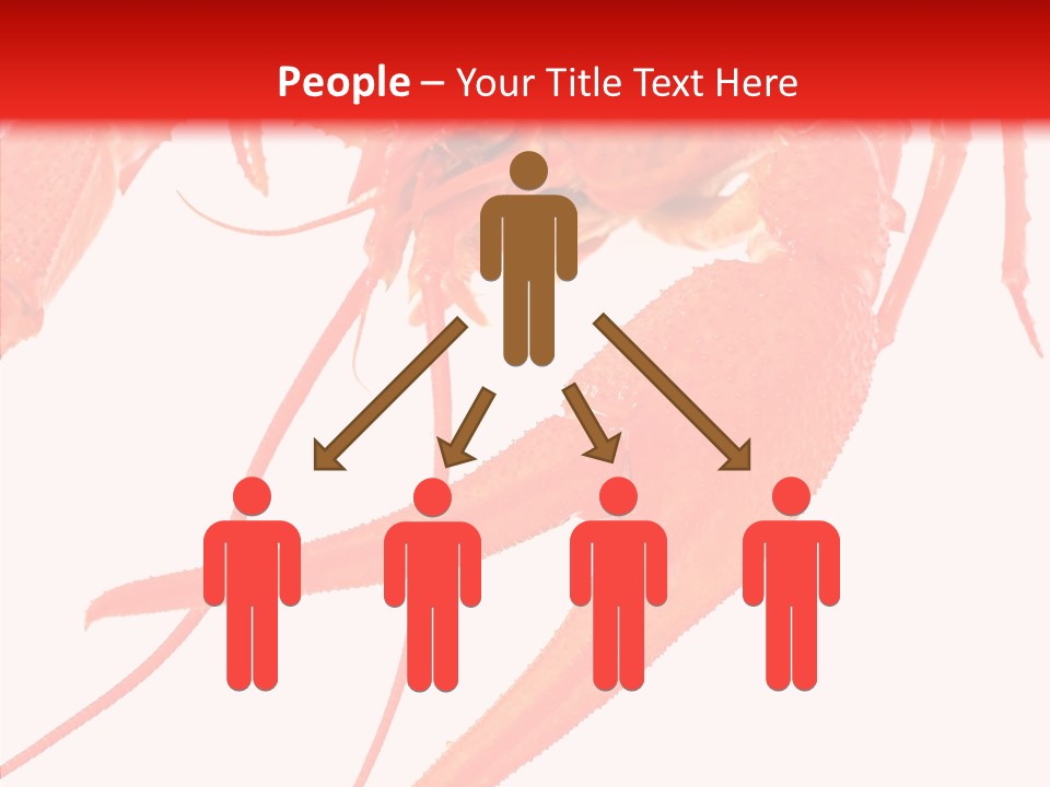 New White Marine PowerPoint Template