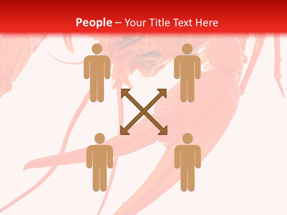 New White Marine PowerPoint Template