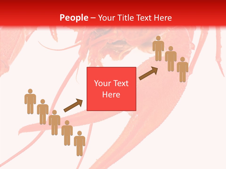 New White Marine PowerPoint Template