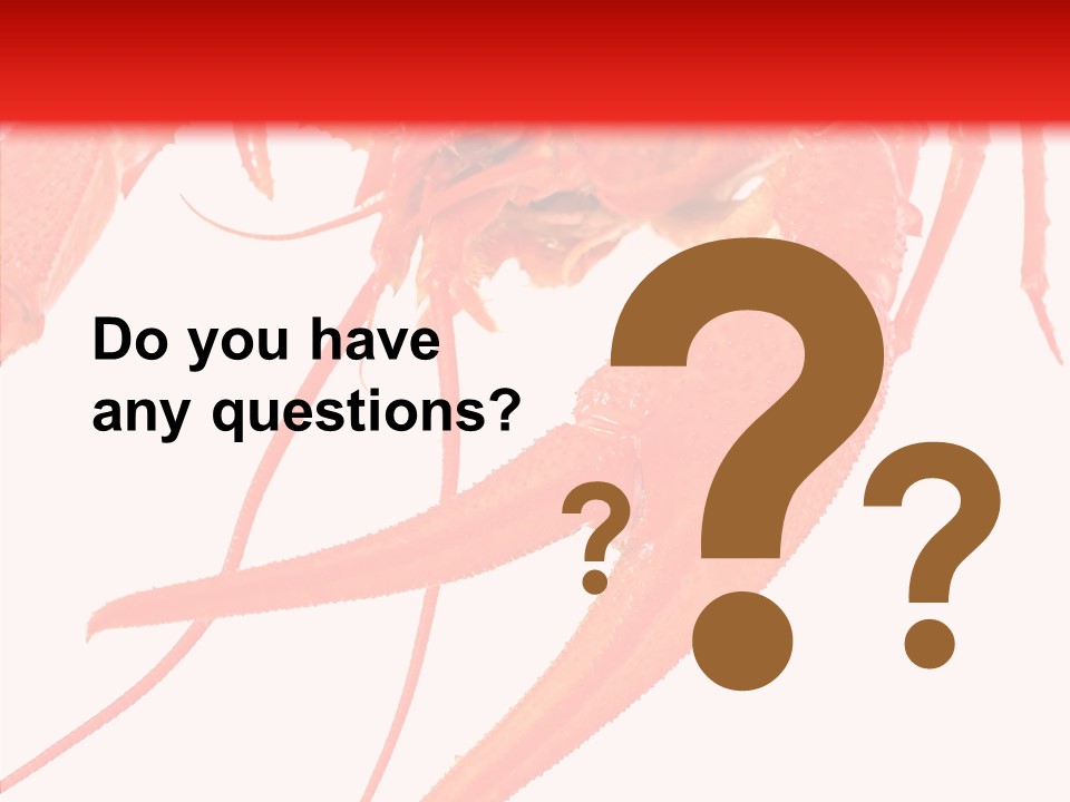 New White Marine PowerPoint Template