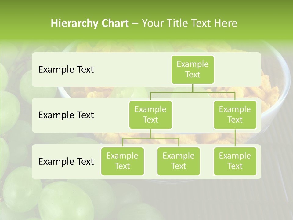 Mix Corn Protein PowerPoint Template