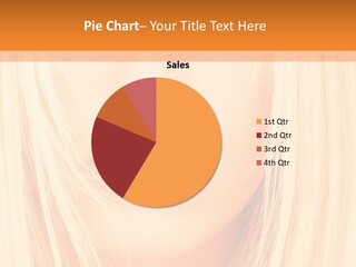 Per On Communication Corporation PowerPoint Template