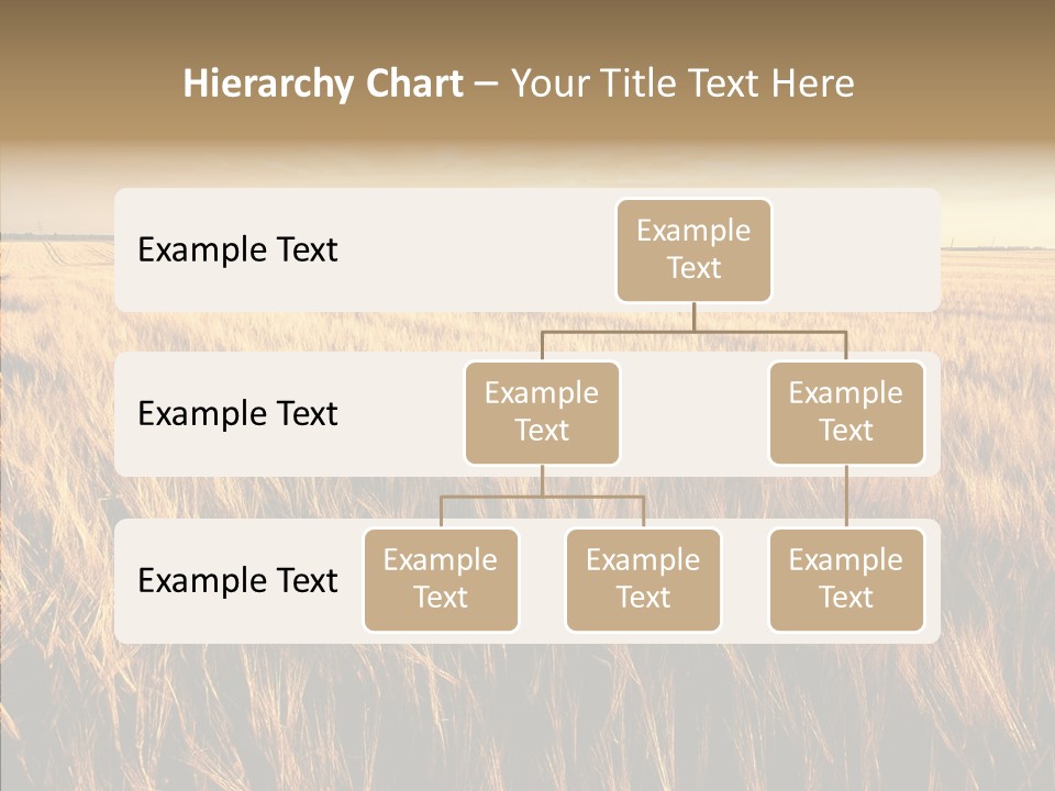 Beautiful Cloud Color PowerPoint Template