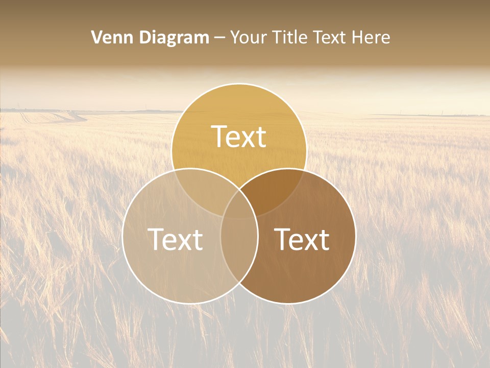 Beautiful Cloud Color PowerPoint Template