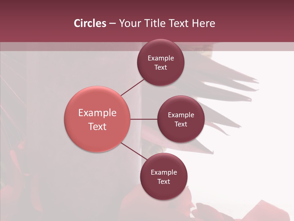 Rose Lit Pamper PowerPoint Template