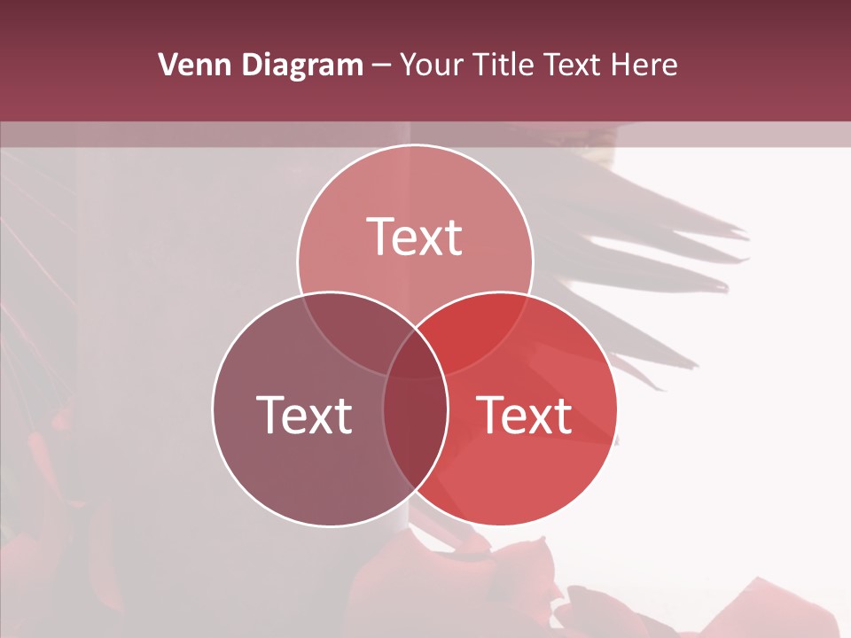 Rose Lit Pamper PowerPoint Template