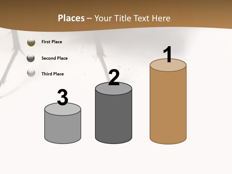 Spray Colorfull Insect PowerPoint Template