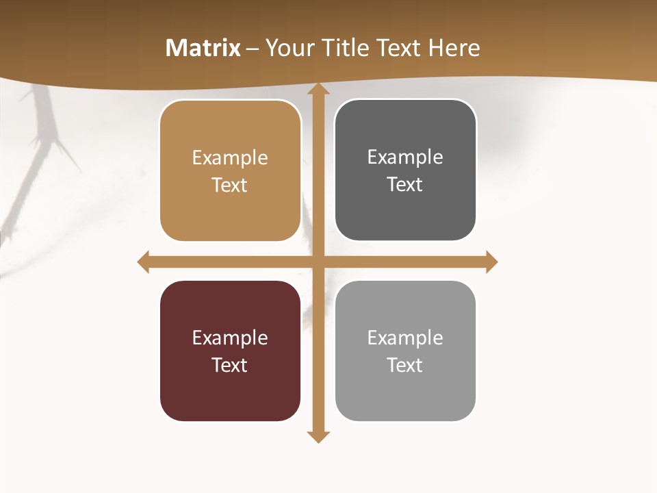 Spray Colorfull Insect PowerPoint Template