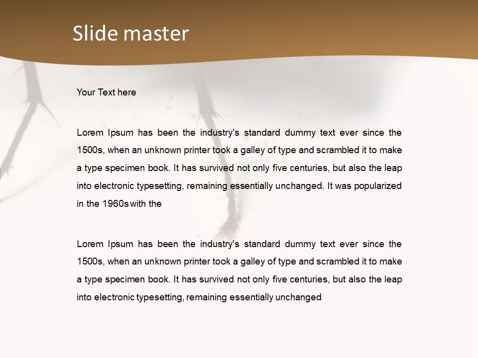 Spray Colorfull Insect PowerPoint Template