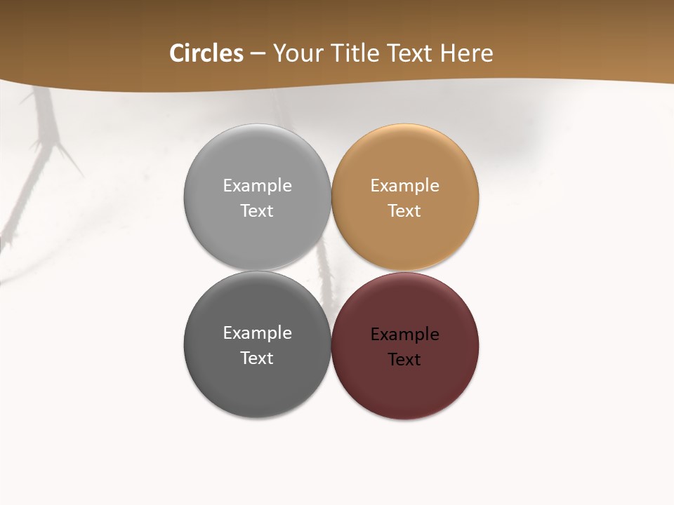 Spray Colorfull Insect PowerPoint Template