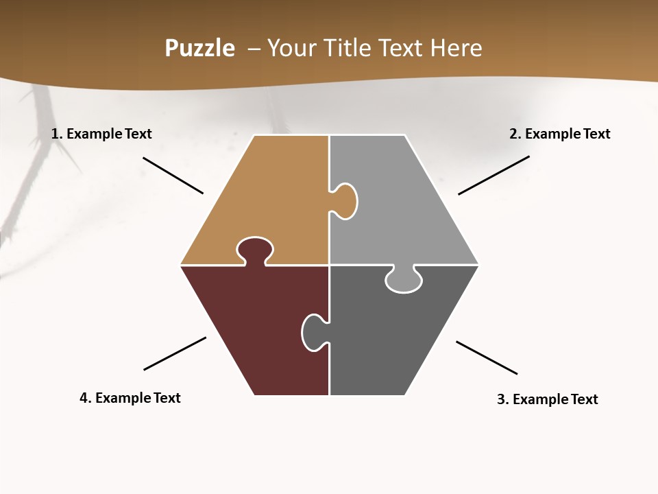 Spray Colorfull Insect PowerPoint Template