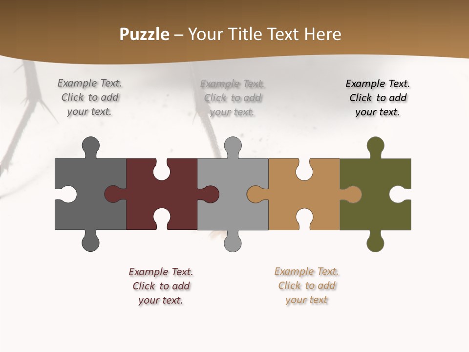 Spray Colorfull Insect PowerPoint Template