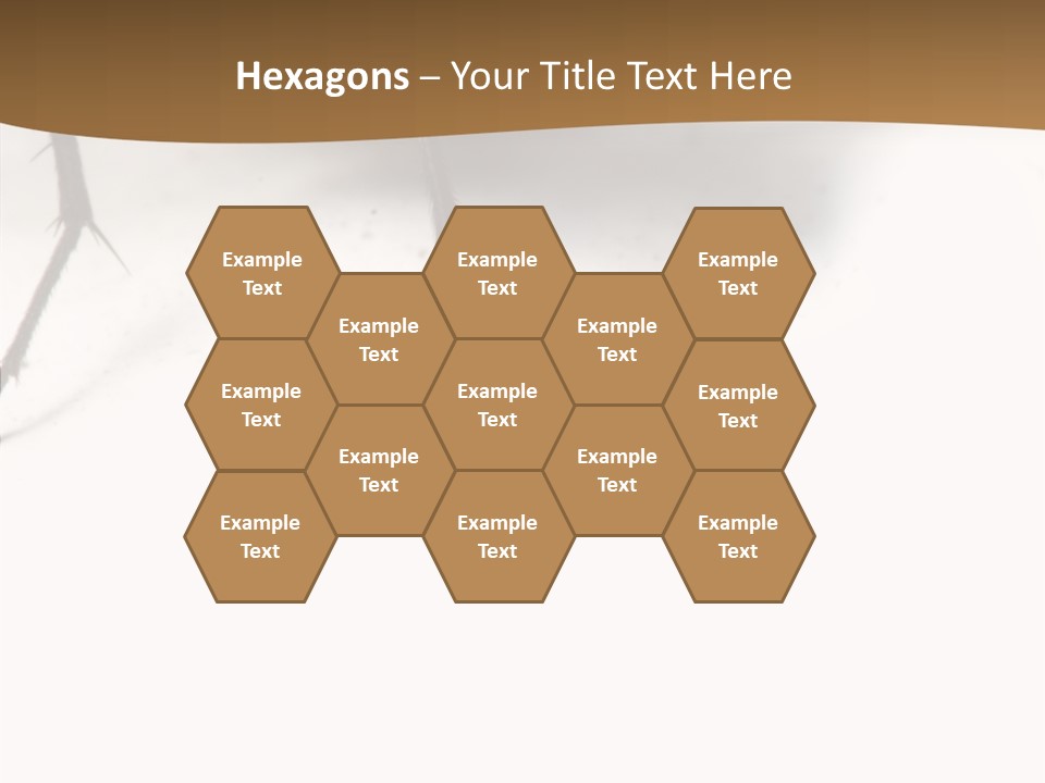 Spray Colorfull Insect PowerPoint Template