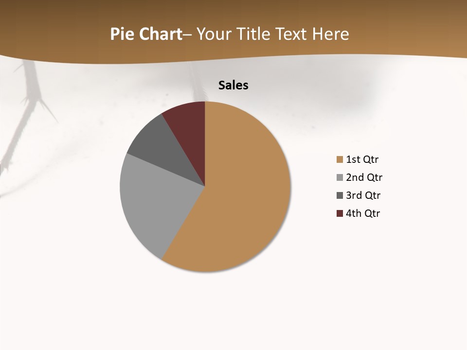 Spray Colorfull Insect PowerPoint Template