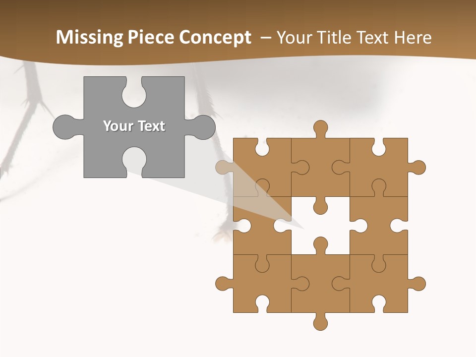 Spray Colorfull Insect PowerPoint Template