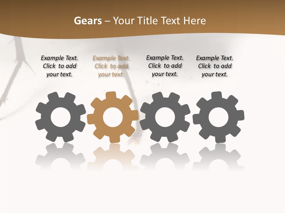 Spray Colorfull Insect PowerPoint Template