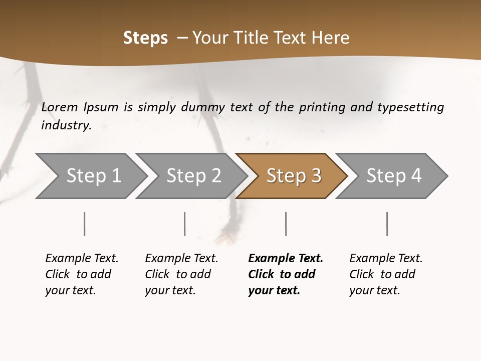 Spray Colorfull Insect PowerPoint Template
