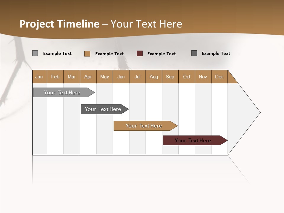 Spray Colorfull Insect PowerPoint Template
